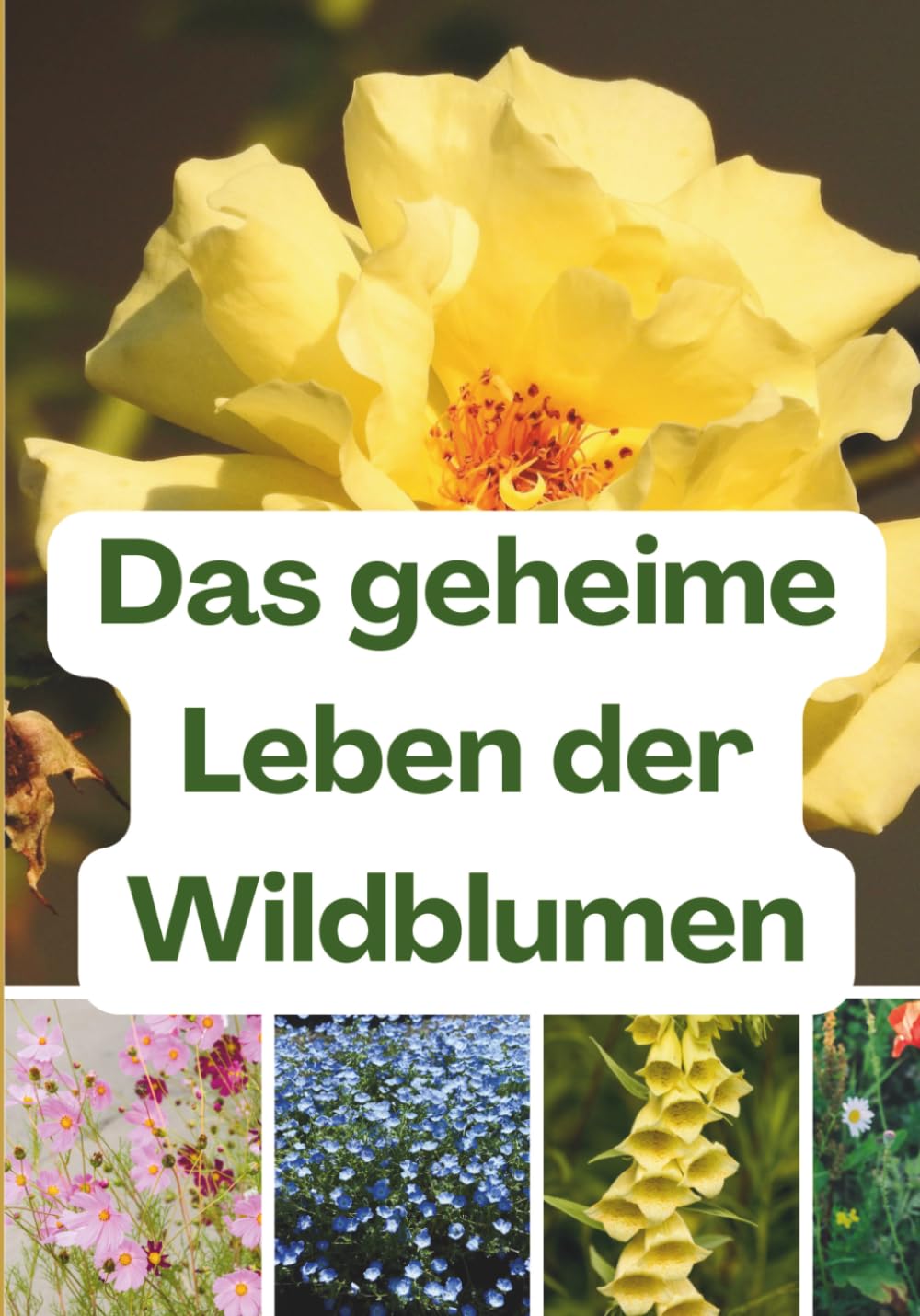Das geheime Leben der Wildblumen: Das Flüstern der verborgenen Schönheit.....Über 100 Arten leicht erkennen