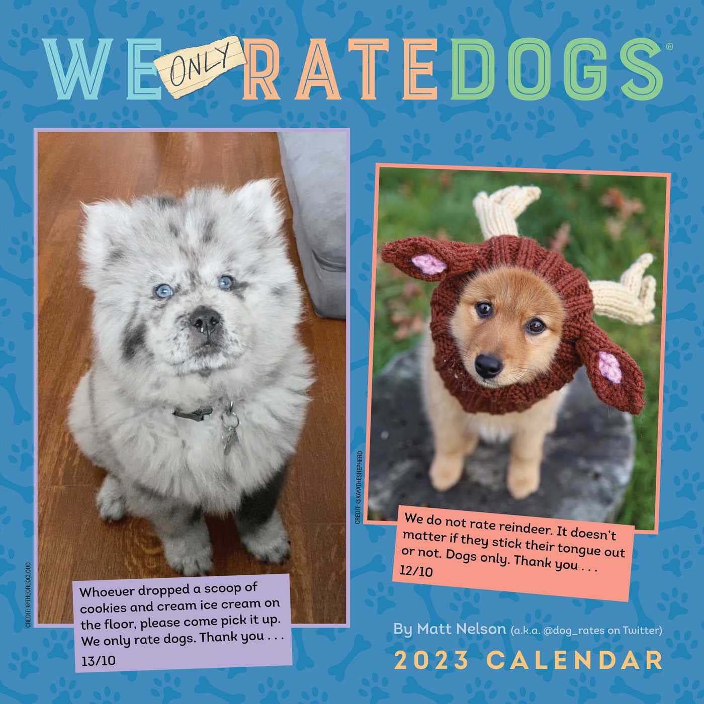 WeONLYRateDogs 2023 Wall Calendar