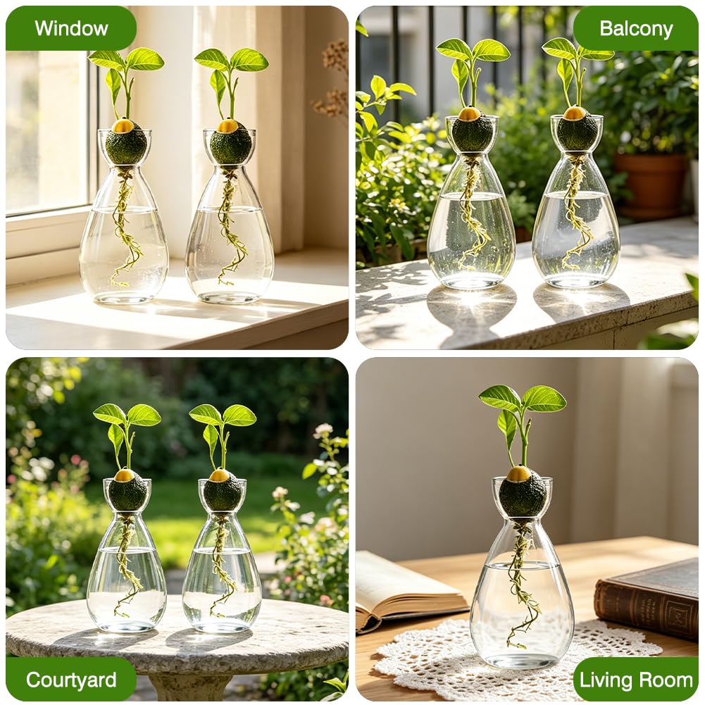 Terrario per piante idroponiche, 2 pezzi, stazione di coltivazione idroponica, vaso per semi di avocado, per gli amanti delle piante, decorazione da tavolo per casa e ufficio, piante acquatiche o