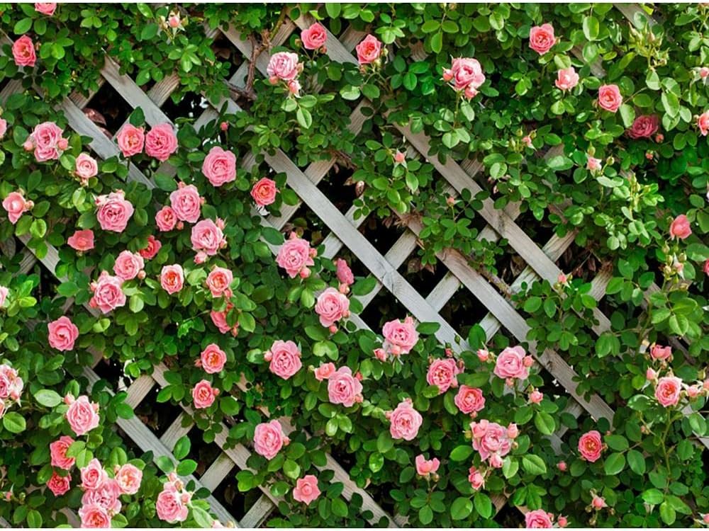 Accesorios de Fondo de fotografía de Vinilo, Fondo de fotografía con Tema de fotografía de Fiesta de Boda de Flores A22 10x10ft / 3x3m