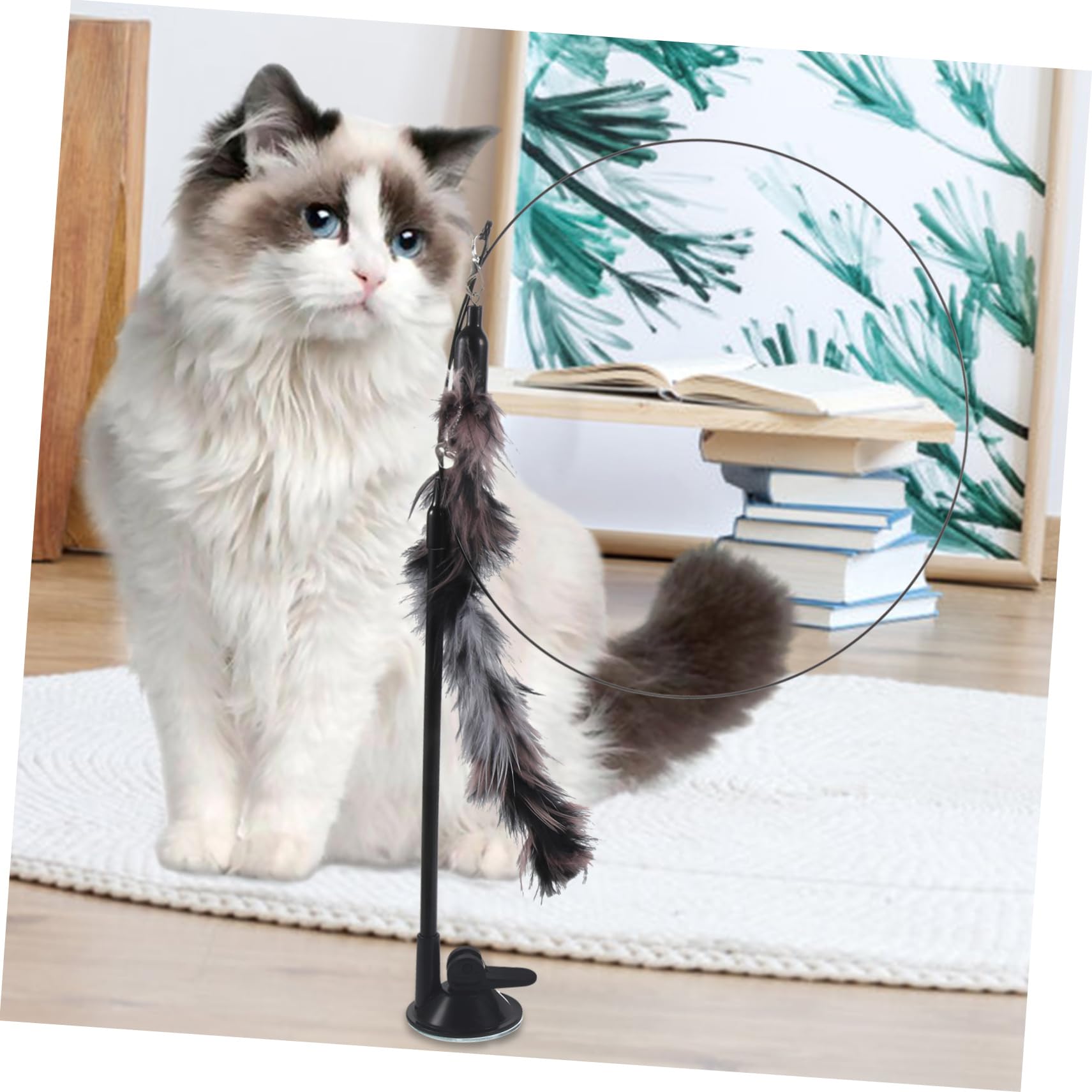 FRCOLOR Jouet Interactif pour Chat Intérieur avec Détachable Et Ventouse Stimule La Curiosité Et Exercice des Félins De Âges