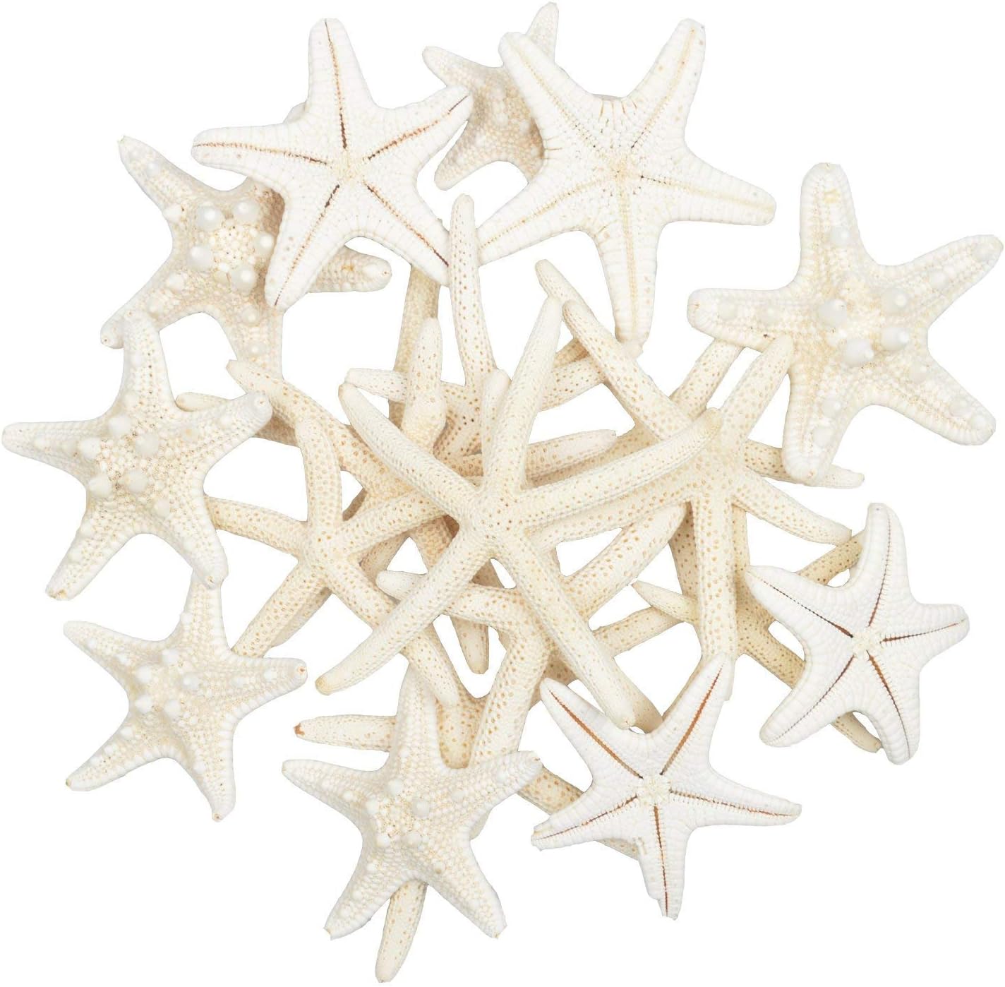 LLC 20PCS Real Starfish Mixed Ocean Beach Starfish-Natural Colorful Seashells Starfish Perfect for Wedding Decor, Beach Theme Party, Home Decorations,DIY Crafts, Fish Tank (20)