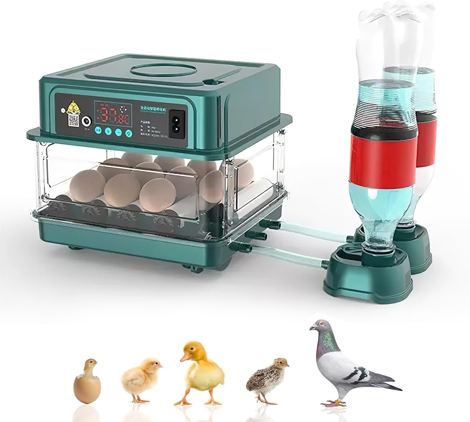 Couveuse Automatique 120 œufs – Retournement Auto, Contrôle Température/humidité, 5 Modes (poule, Canard, Etc.), Double Alimentation 110V/12V - 12