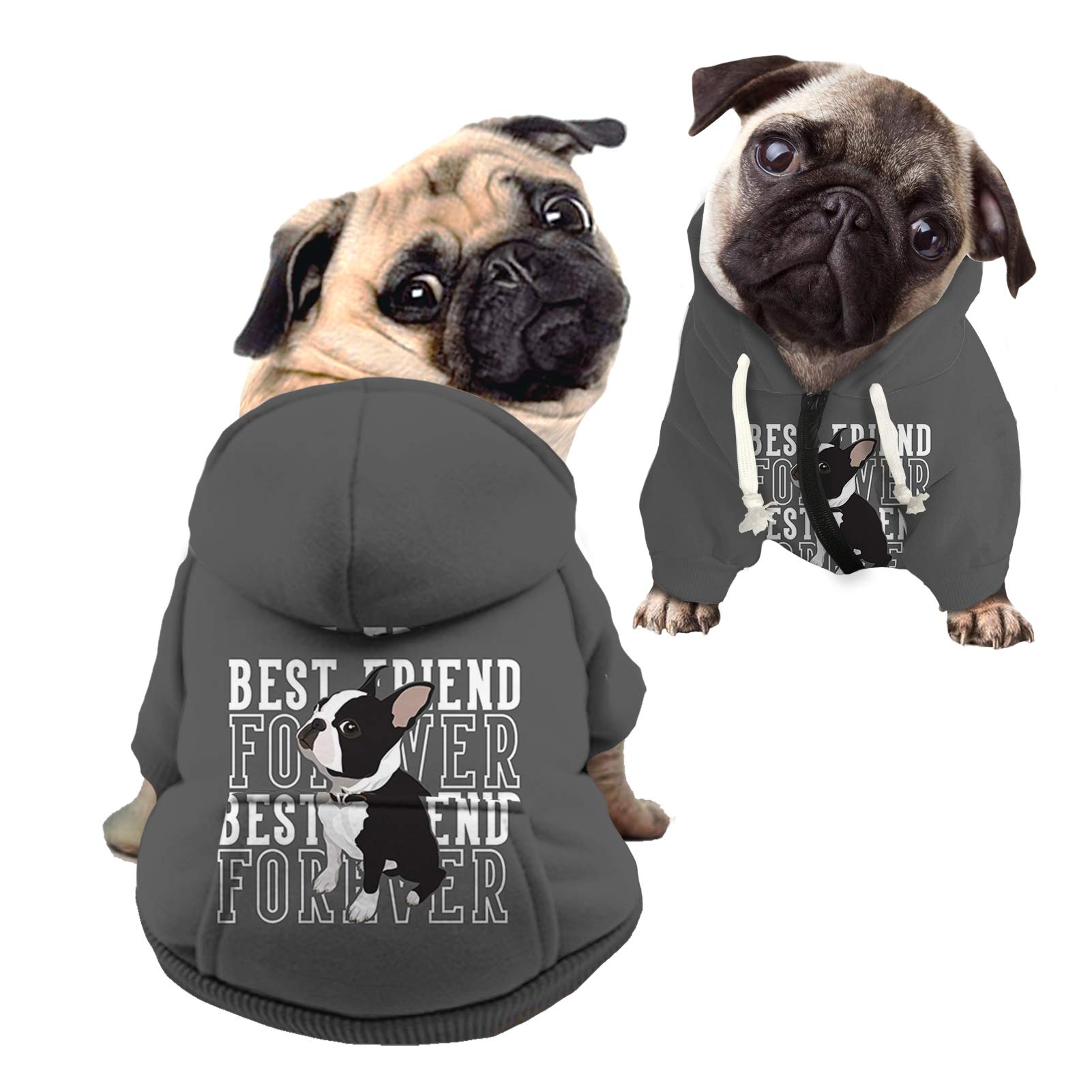 best friend ever dog hoodie