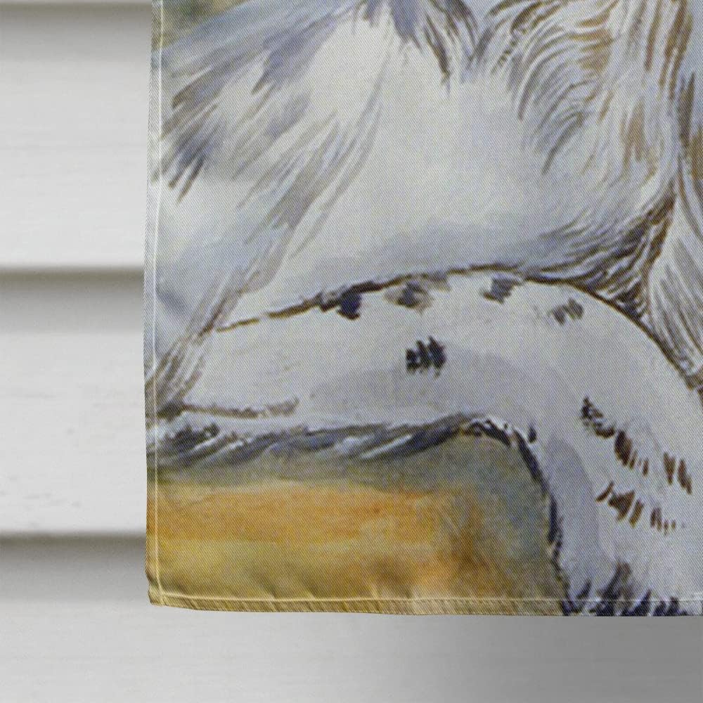 Caroline's Treasures 7065CHF English Setter Patience House Flag Large Porch Sleeve Pole Decorative Outside Yard Banner Artwork Wall Hanging, Polyester, House Size, Multicolor