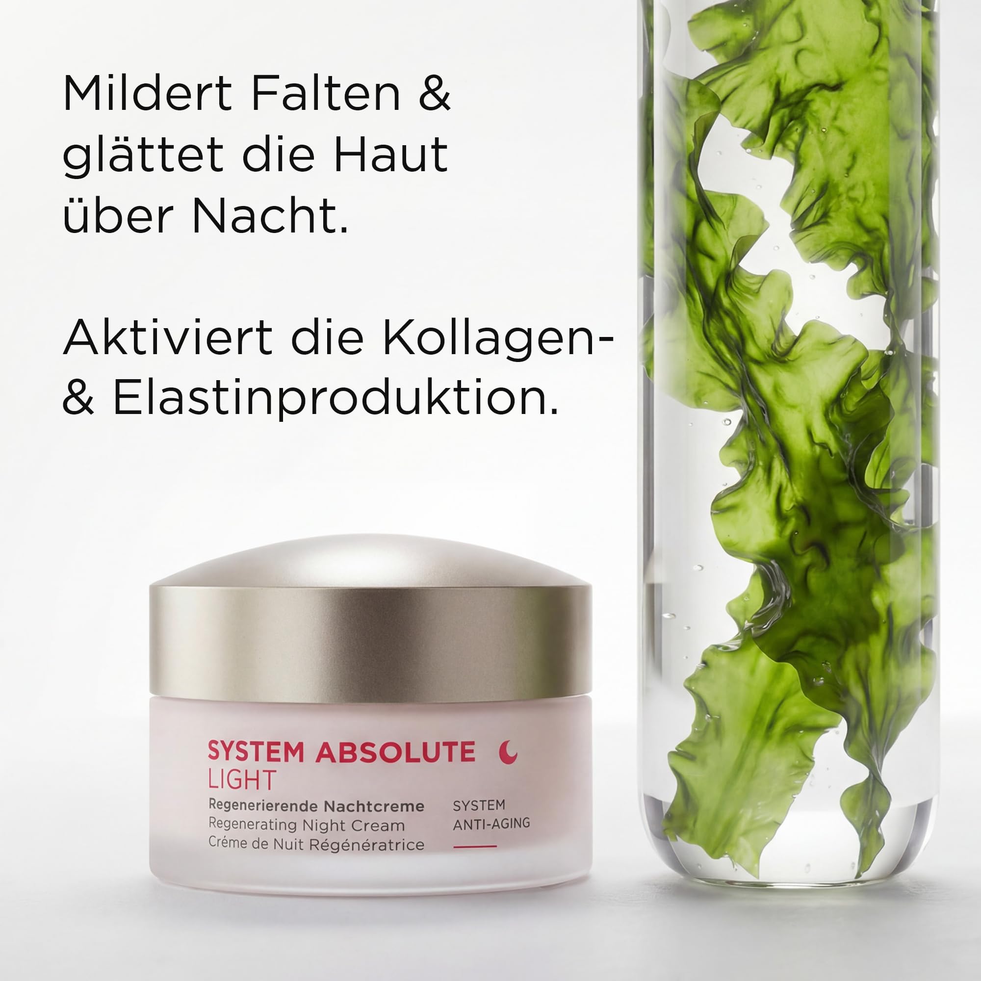 ANNEMARIE BÖRLIND SYSTEM ABSOLUTE Regenerierende Nachtcreme Light 50ml | Anti-Aging Nachtpflege, Aktiviert Kollagenproduktion, Feuchtigkeitspflege gegen Falten, Cremig-leichte Textur, Regenerierend