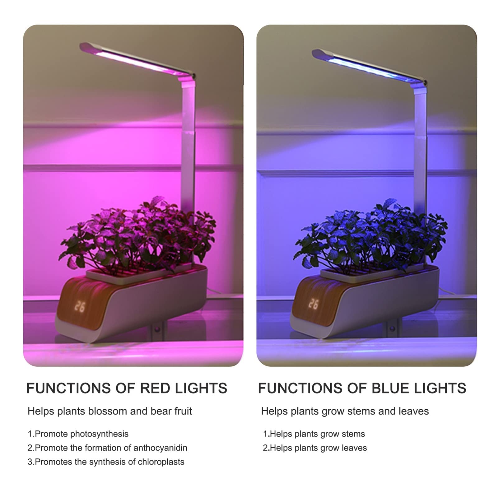 Kit de sistema de cultivo hidropónico, Caja de hidropónico, luz de cultivo intelinte de espectro completo, cultivo sin suelo, macetero de jardín interior, lámpara de cultivo, macetas de vivero para el