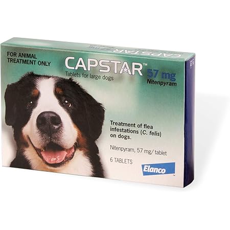 amazon capstar for dogs