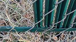 Review Image by T. Adams T. Adams