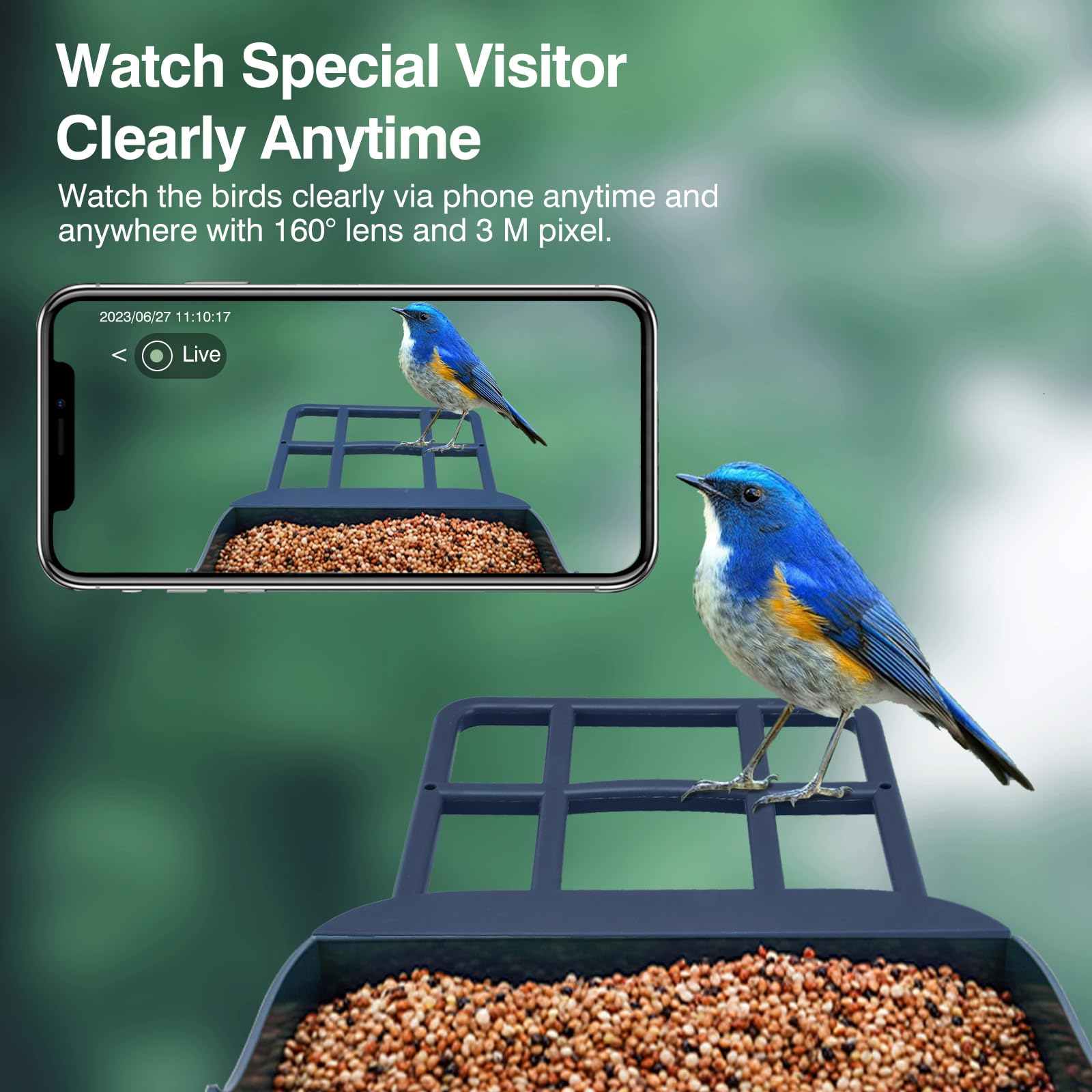 Comedero para pájaros con cámara alimentada por energía solar, identificación de especies con IA, alertas de llegada instantáneas, captura de video HD 2K, vista en vivo, regalo para los amantes de los