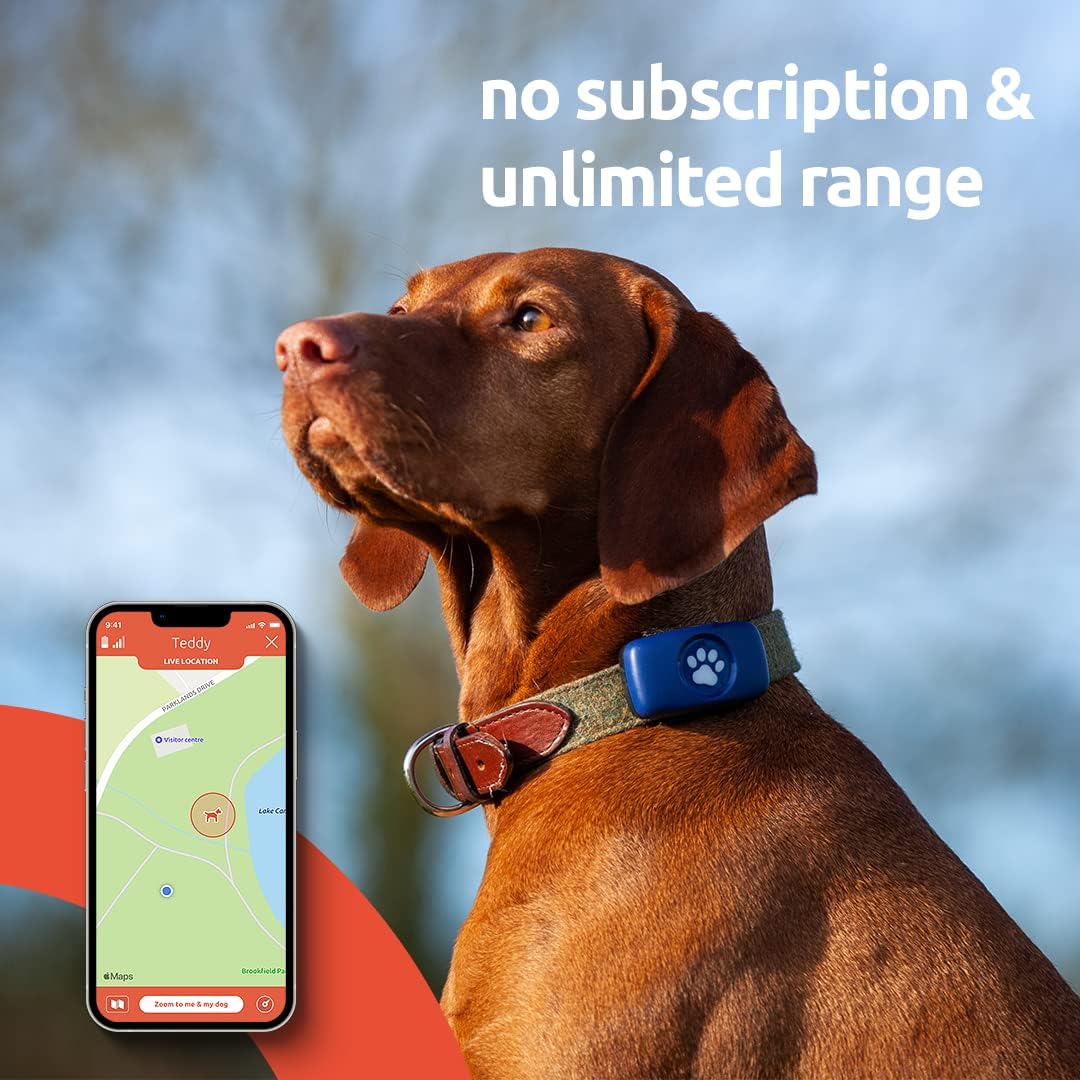 PitPat Dog GPS Tracker. Full satellitetracking with unlimited range