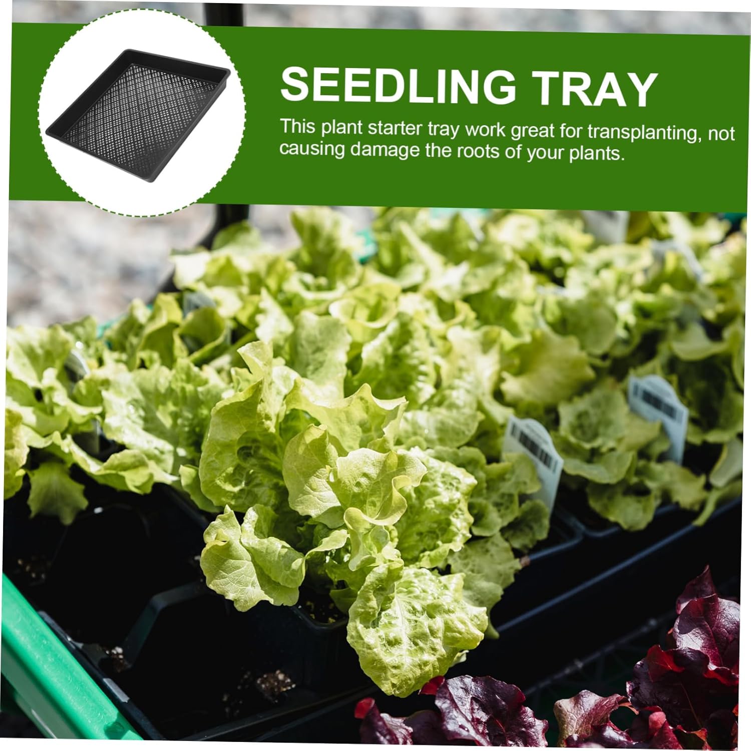 5pcs Reusable Plastic Plant Trays for Germination and Transplanting Growing Trays for Home Gardening