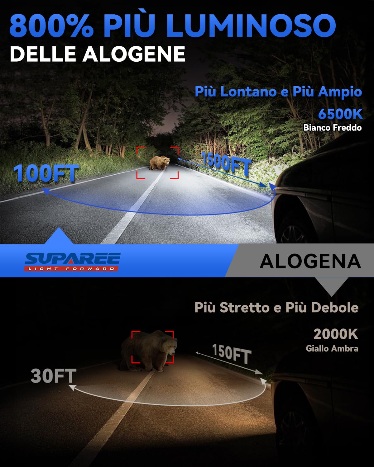 SUPAREE Lampadina H7 Led Lampadine LED H7 per Auto h7 LED Canbus 32000LM 6500K 12V 800% Luminoso Abbagliante e Anabbagliante per Fari Auto 1:1 Plug and Play (2 Pezzi)
