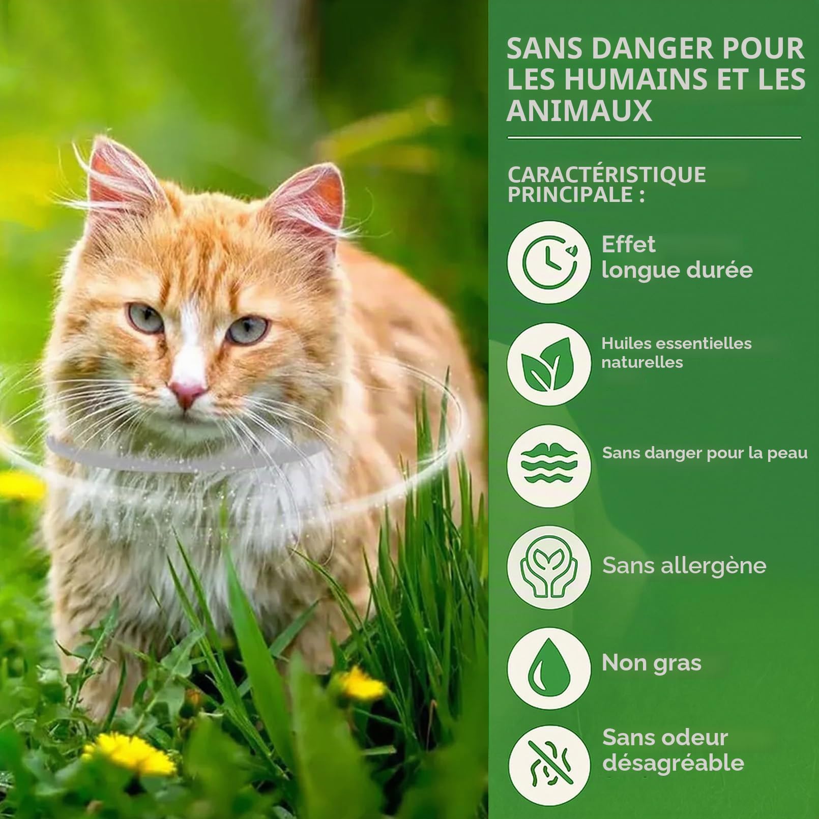 Lot de 2 Colliers pour Chat, Protection de 16 Mois, Prévention des Infections, Huiles Essentielles Naturelles, Collier Ajustable Étanche, Sécurité et Confort pour Chats de Plus de 7 Semaines