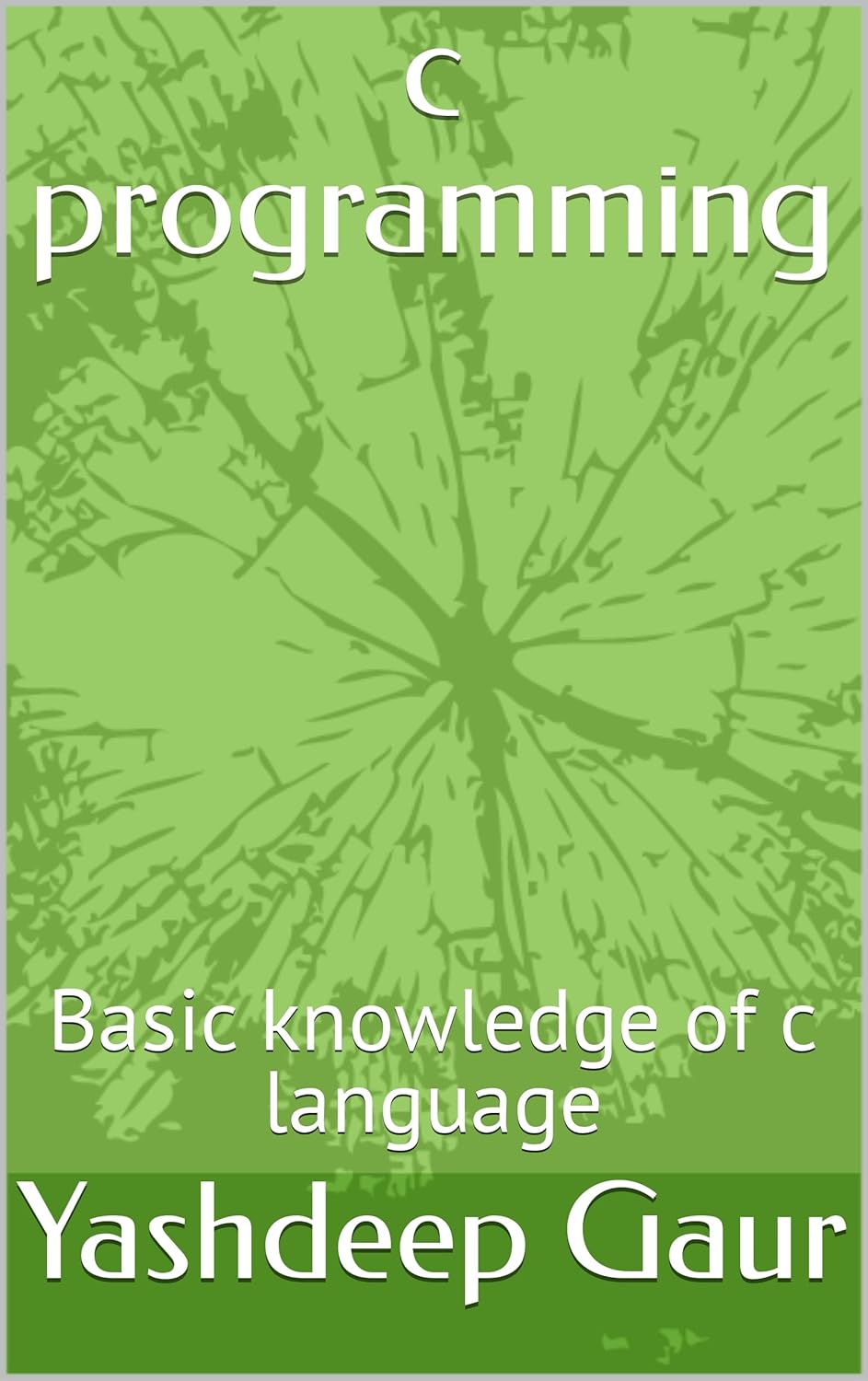 c programming: Basic knowledge of c language eBook : Gaur, Yashdeep ...
