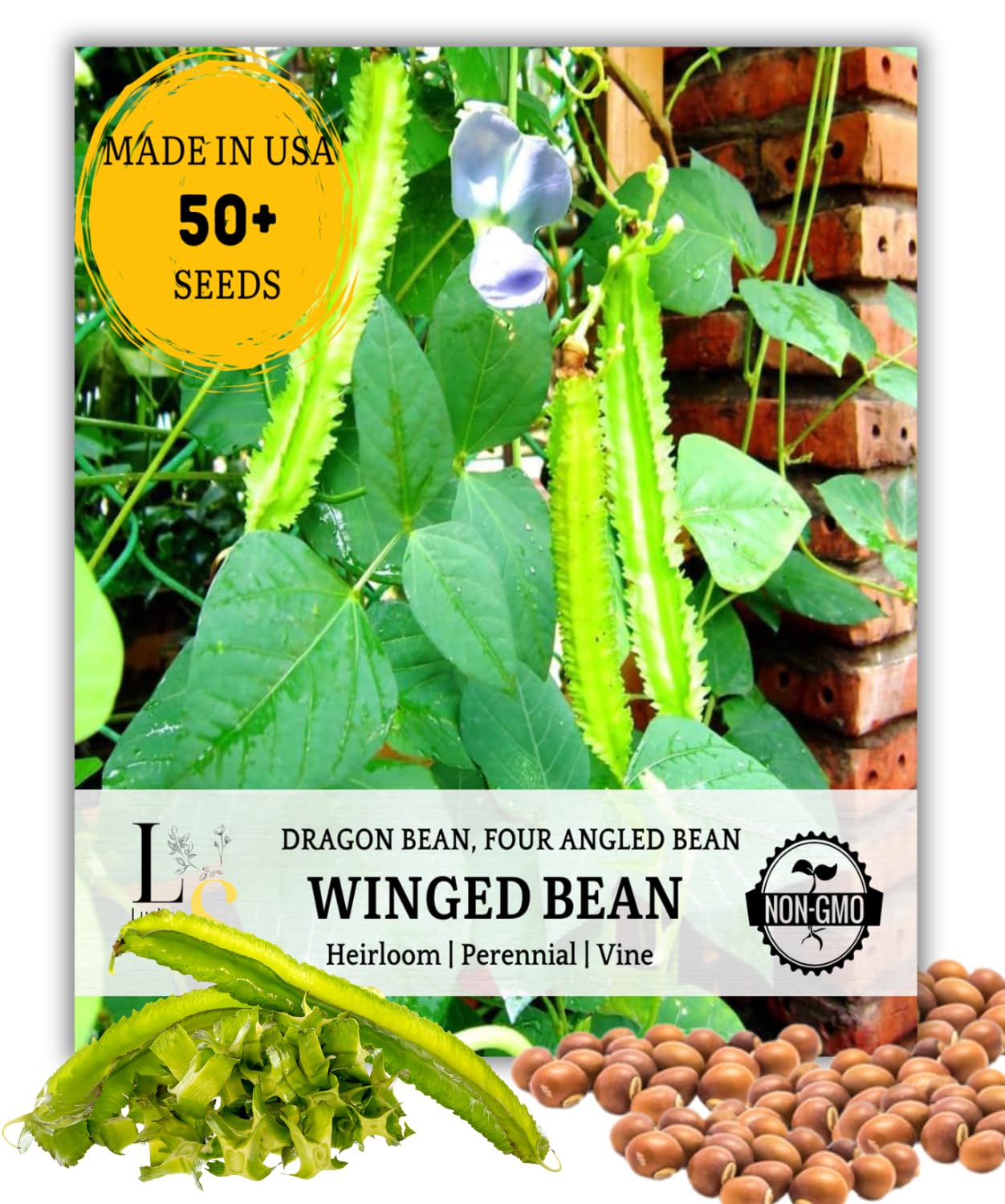 50+ Premium Winged Bean Seeds – High-Yield, Nutritious, Tropical Climbing – Non-GMO, Heirloom Vegetable Dragon Four-Angled Bean Seed for Planting