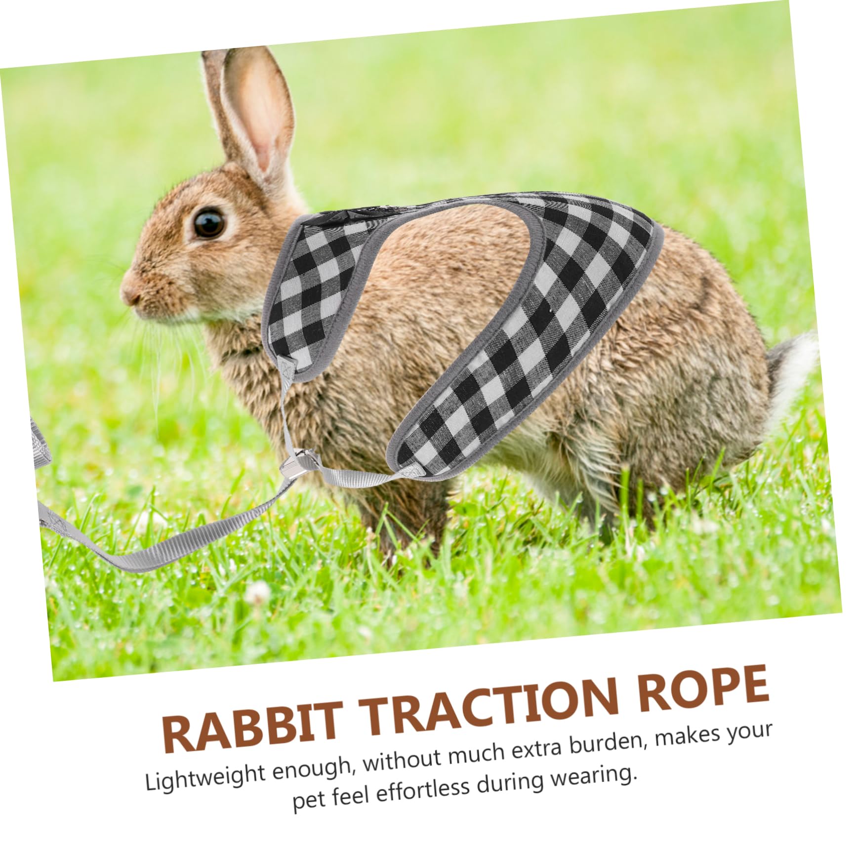 Milisten 4sätze Kaninchenkostüm Mit Leine Und Geschirr Atmungsaktives Verstellbares Bunny Outfit Aus Hochwertiger Für Haustiere Für Kleine Tiere Wie Zwergkaninchen Und Babyhasen