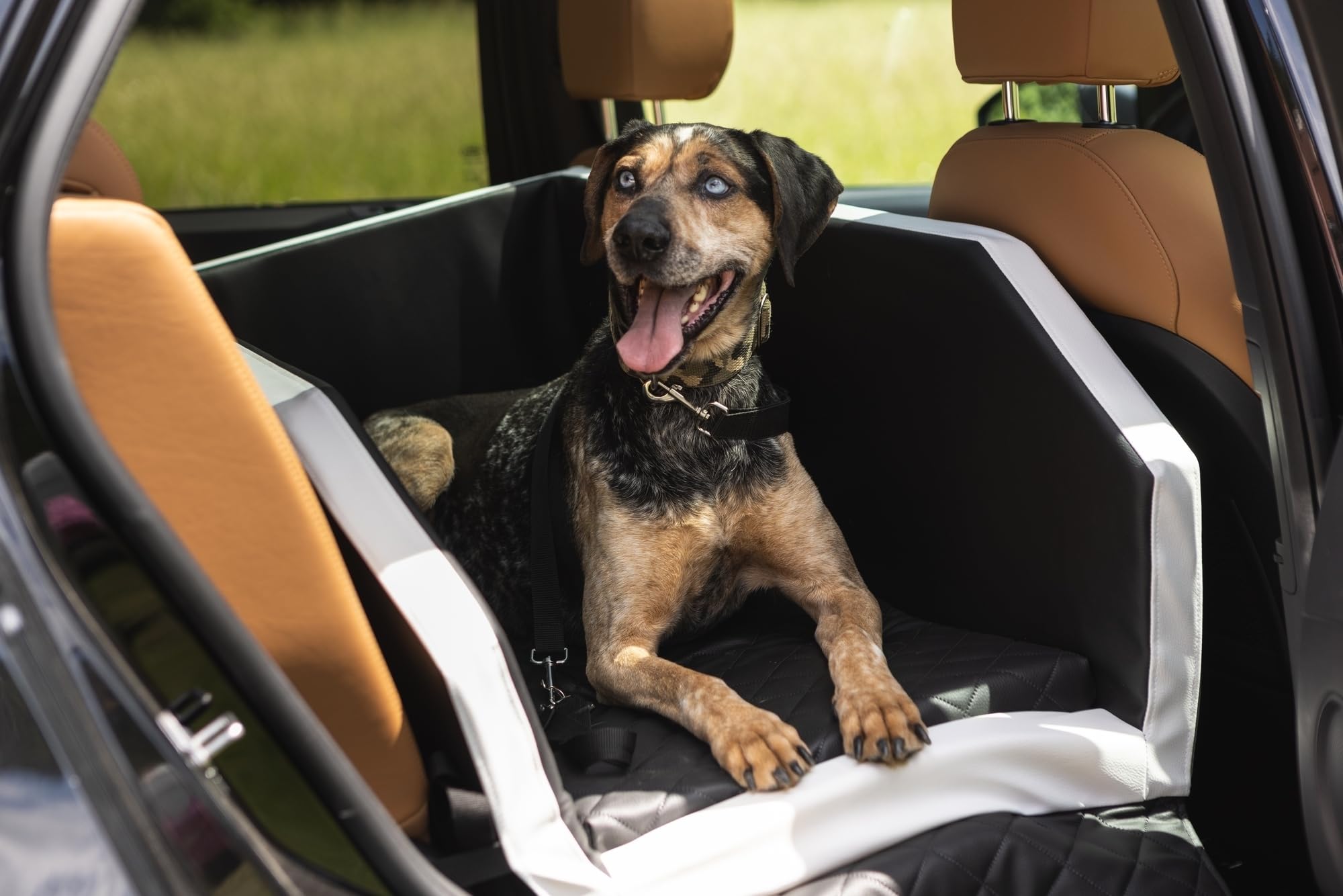 Autohundebett Hunde-Autositz Hundebett f. Rückbank Hundesitz Anschnallgurt 55x70 (Farbe: schwarz)