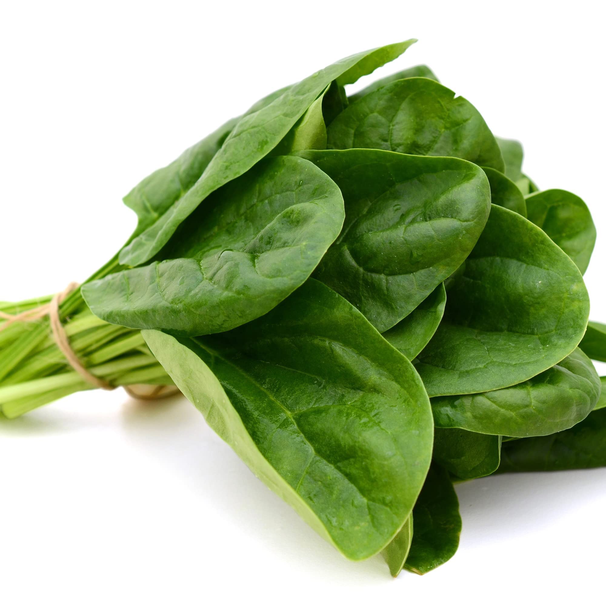Vegetable Plants, Spinach 'Renegade', 12 x Full Plant Pack, Spinach Plants, Garden Ready and Ready to Plant, Outdoor or Indoor, Premium Quality Veg