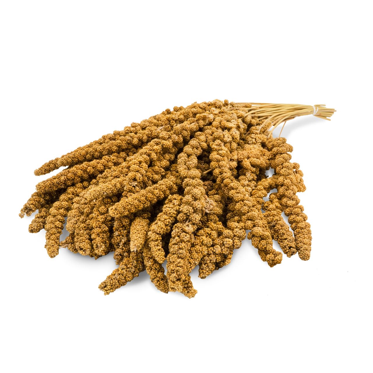 JR FARM Birds miglio pallone giallo 1 kg