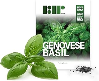 Sponsored Ad - Genovese Basil Seeds for Planting - Heirloom Non-GMO USA Grown - 150+ Seeds - Premium Sweet Basil Seeds for...