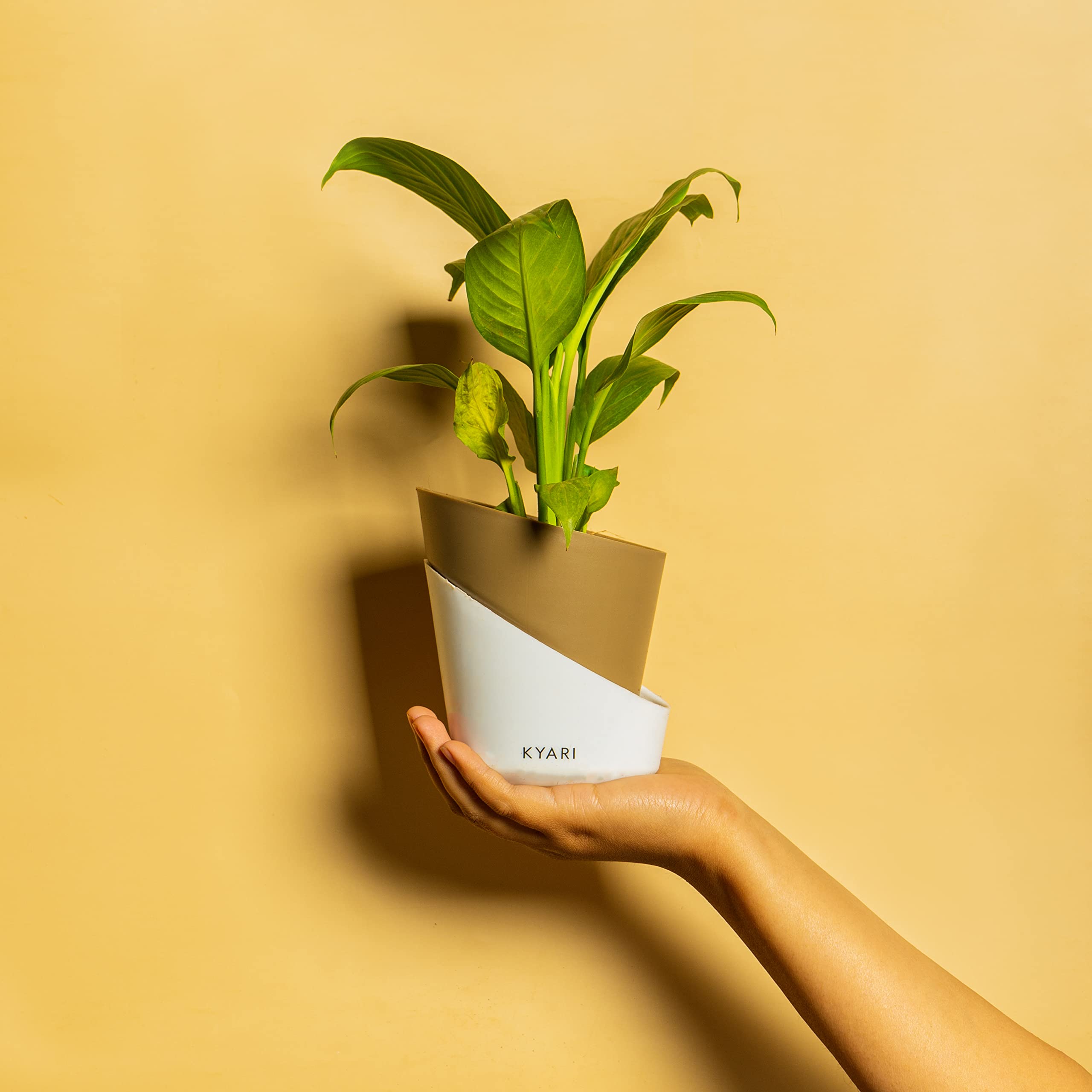 KYARI Peace Lily Indoor Plants for Living Room | Live Plants | Plants with Dusky Brown Pot for Home | Air purifier plants | Plants for Home Decor | Plants for garden | Indoor Plants for bedroom