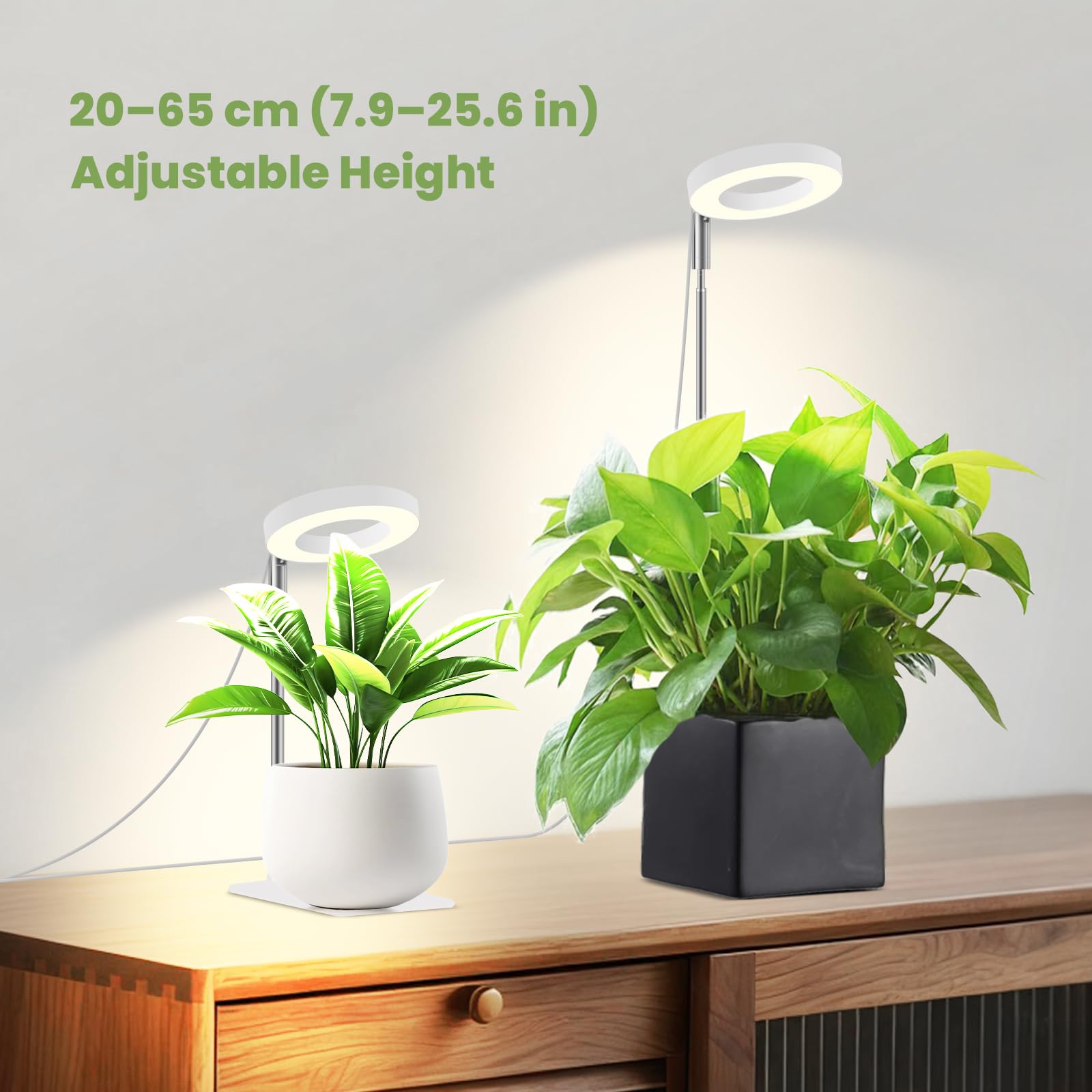 Lampe de croissance 12V pour plantes d’intérieur, Spectre complet renforcé 660 nm, Petite lampe LED Halo avec base sous-pot, Minuterie & gradation, 6W, 118 µmol/m²/s @15 cm, Lot de 2