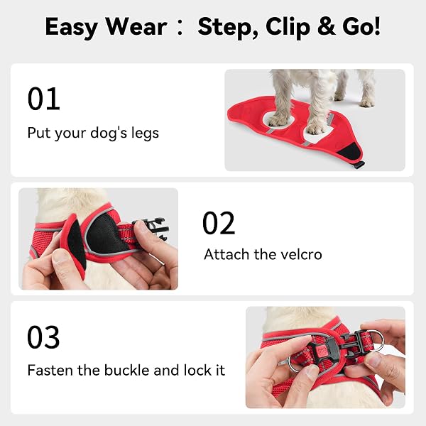Joytale Pettorina Cane con Morbida Imbottito, per Gatto e Cucciolo, Pettorine Rifrangente Cani con Maglia Traspirante per Passeggio, Rosso, M - 3