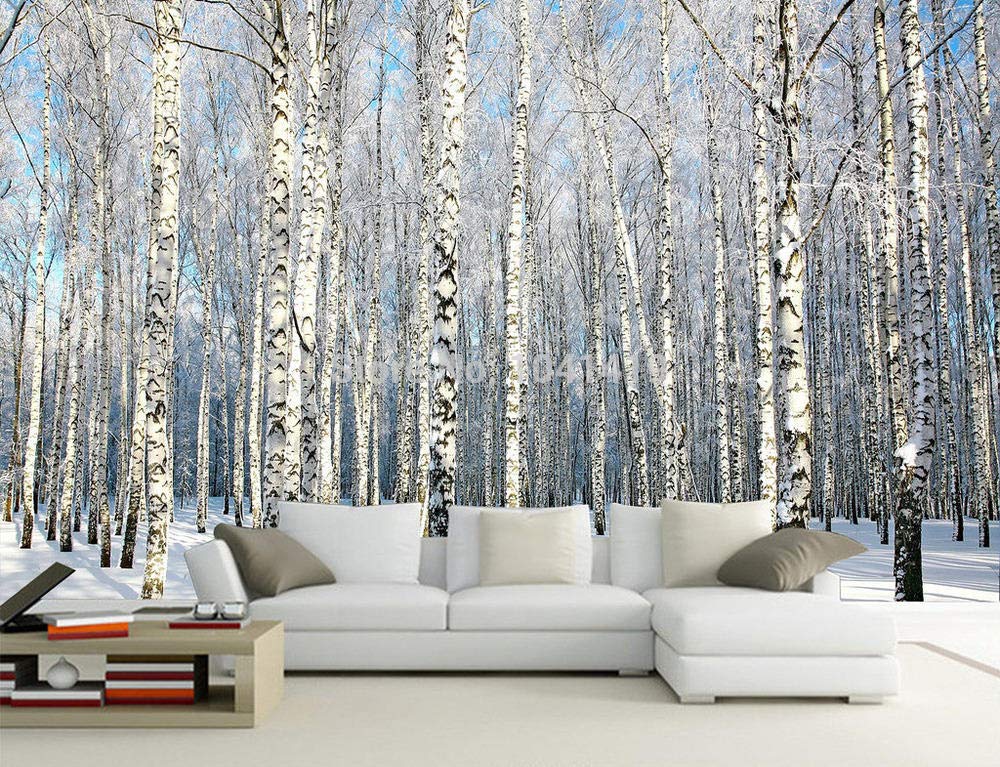 Papier peint nature paysage forêt de bouleaux WLLLO grand format 430x300 cm