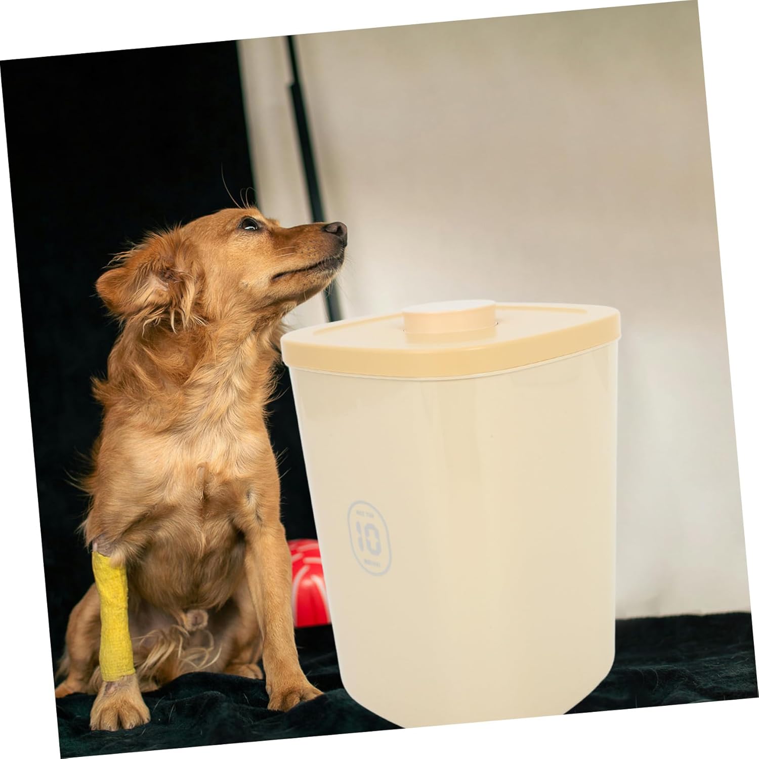 YARNOW Airtight Dog Food Storage Container Large Capacity Vacuum Sealed Cat Food Bin for Grains and Dry Fruits Design Cheerful Yellow