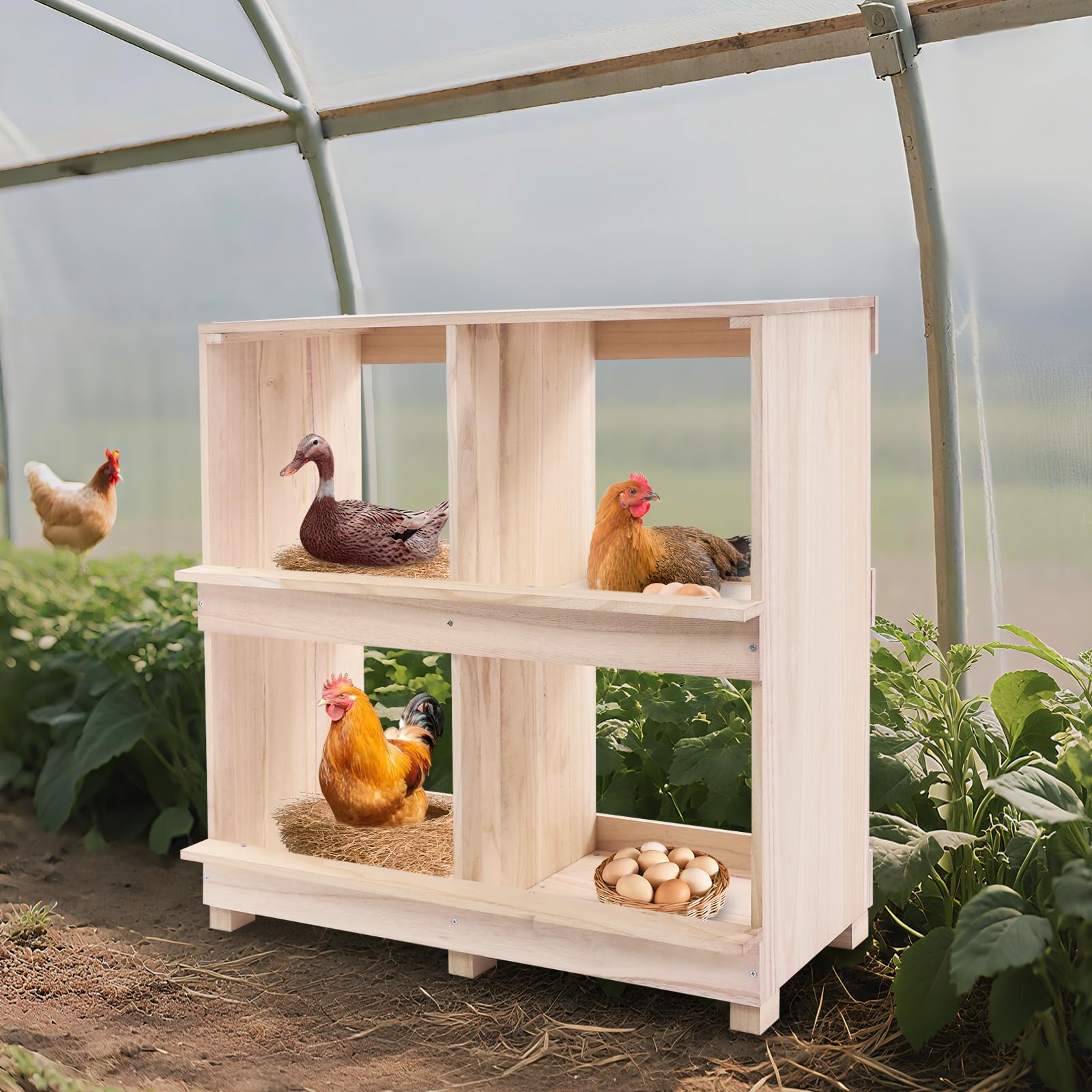 Galline Legenest 4 scomparti, contenitore in legno con fessure di ventilazione su entrambi i lati, nido isolante per pollaio, deposizione sicura delle uova e clima ottimale per polli e pollame