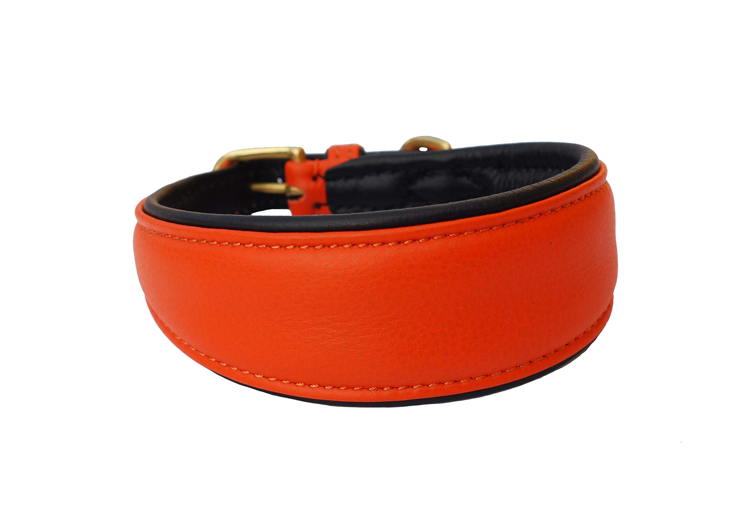 Collier lévrier cuir orange rembourré Greyhound ultra-doux