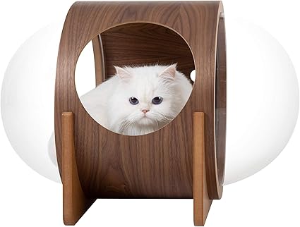 cat bubble bed