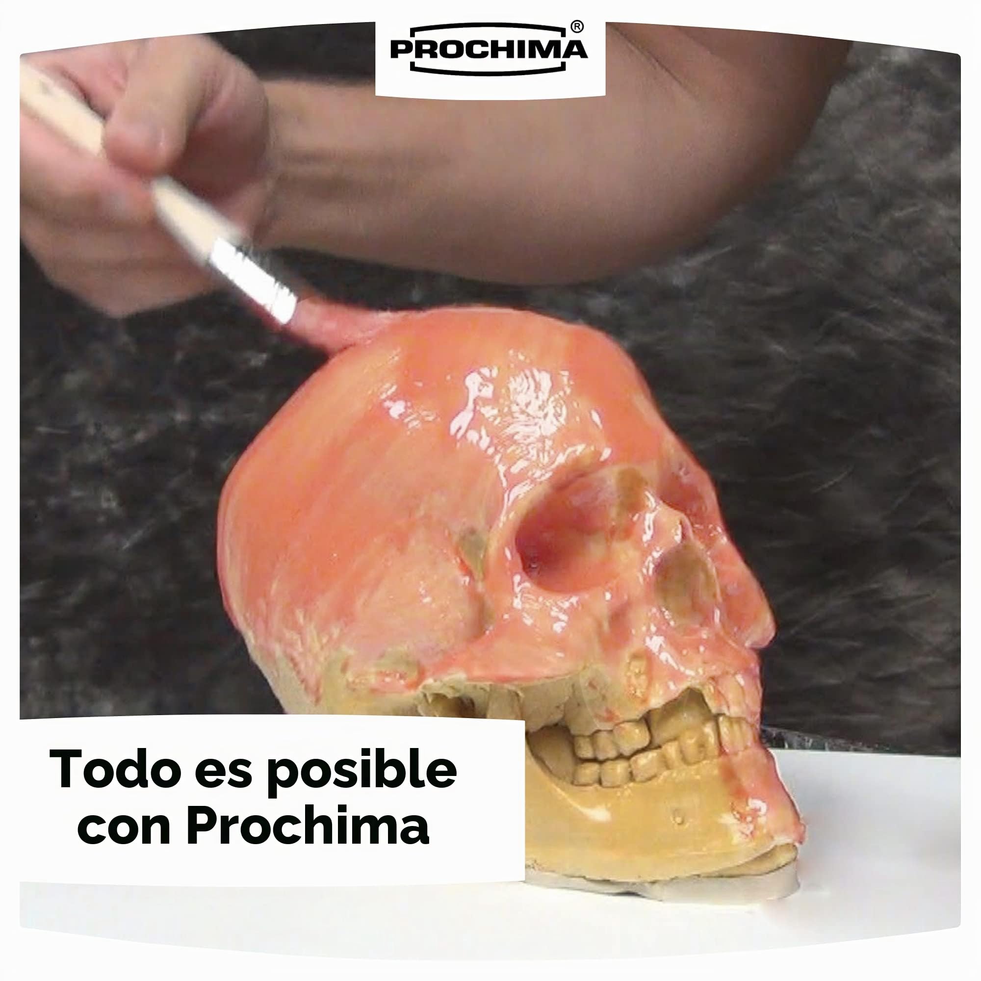 PROCHIMA EM501K1 Látex, transparente