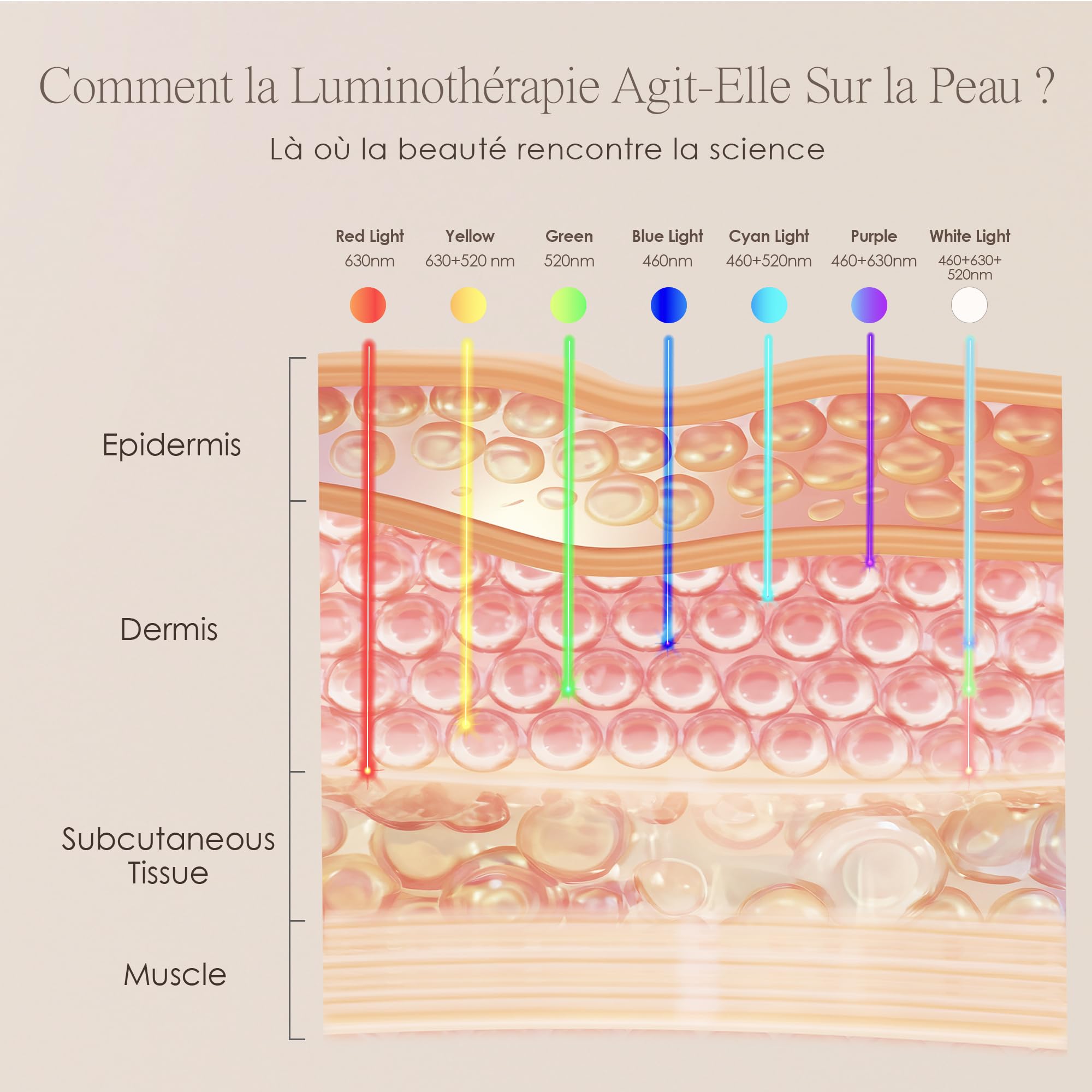 Masque de visage Luminothérapie 7 couleurs par Project E Beauty | Routine de Soins du Visage Anti-âge |Raffermissement de la Peau | Calmer l'Inflammation et la Peau Sensible |