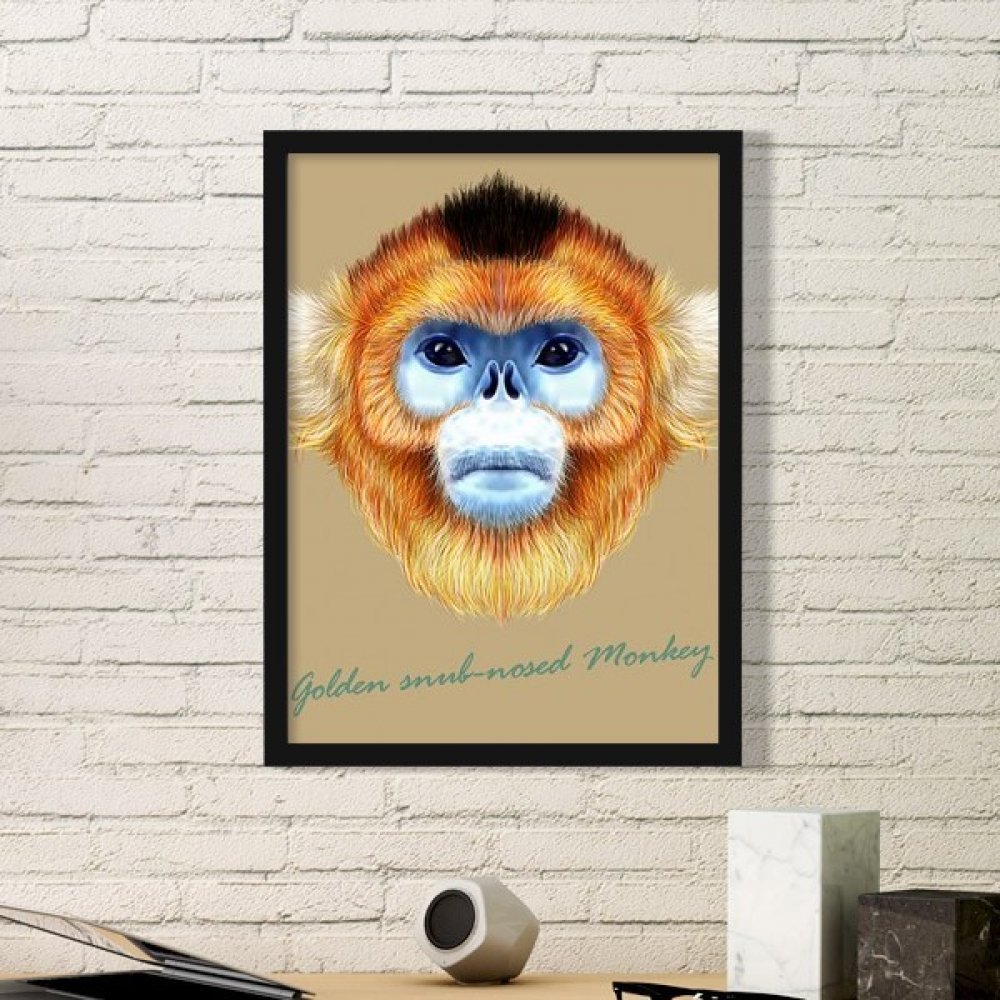 Cadre photo art peintures estampes de singe decoration murale noire