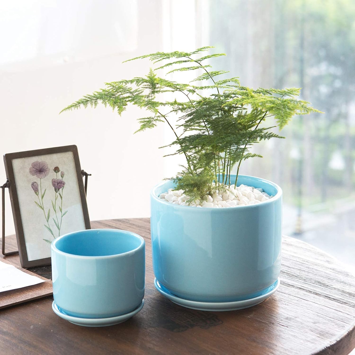 Buymax 4.2+5.2+6.2 inch Glazed Plant Pots with Connected Saucers, Round Modern Ceramic Flower Pots - Small to Large Size for All House Plants, Flowers and Succulent, Set of 3 (Blue1)