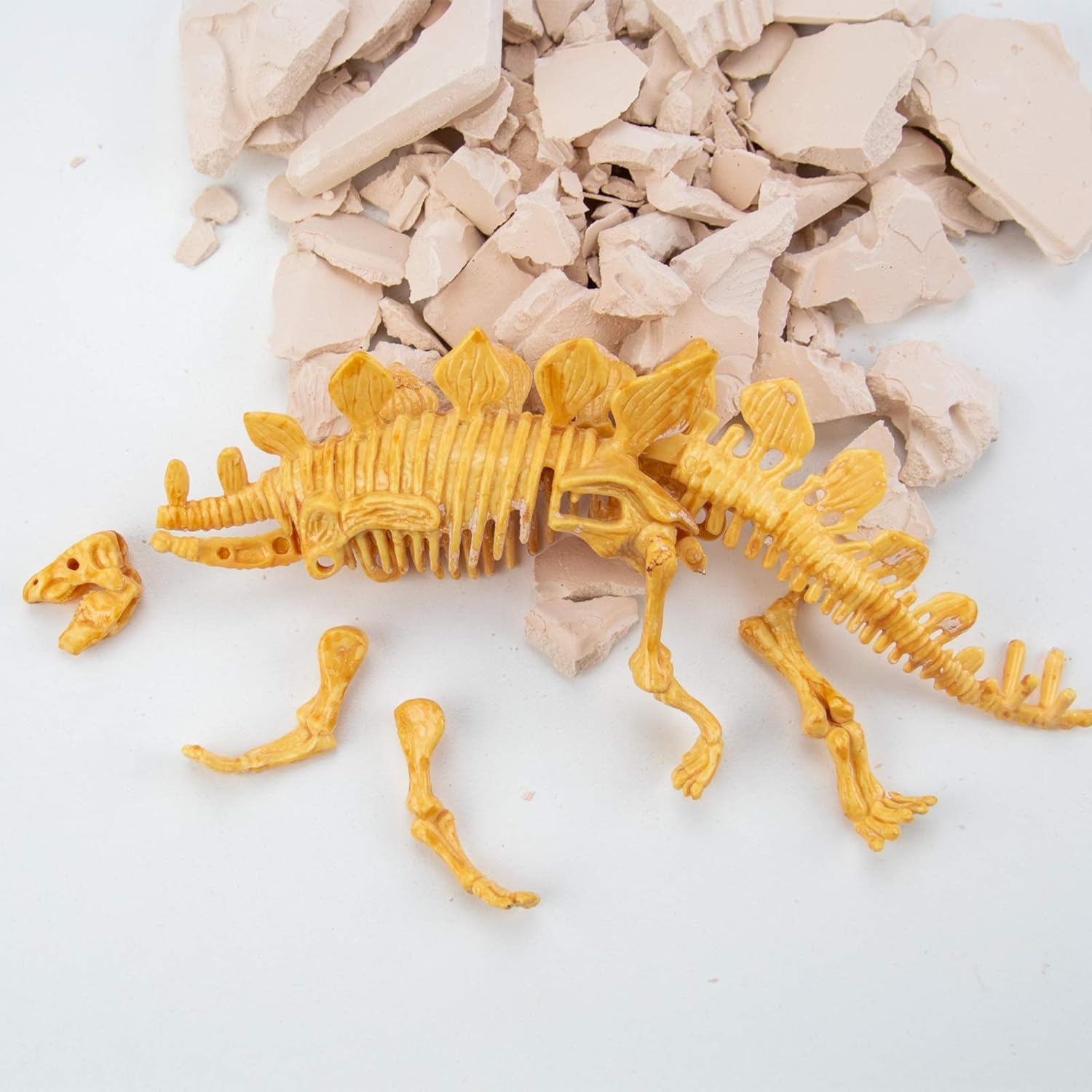 Science4you Stegosaurus Fossil Digging Kit for Kids - Excavate and Assemble 10 Stegosaurus Dino Bones - Ideal Dinosaur Excavation Kit, Archeology, Paleontology Toy for Kids Age 6 7 8+