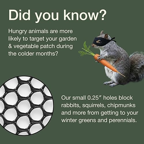 Miniatura 6 de MaPorch - Cerca de alambre de pollo de plástico en malla verde - Malla de 15.7 pulgadas x 10 pies - Protección resistente al clima y valla de