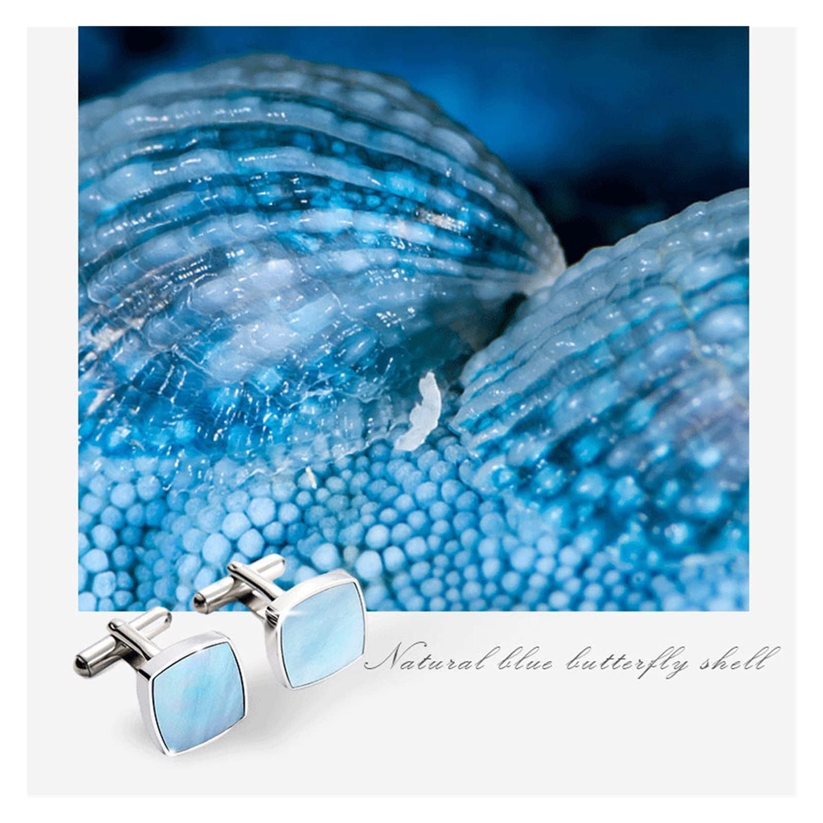 Gemelli da Uomo Gemelli Conchiglia Naturale Conchiglia a Farfalla Blu Confezione Regalo da Uomo Polsino per Camicia Gemelli per Abito da Camicia