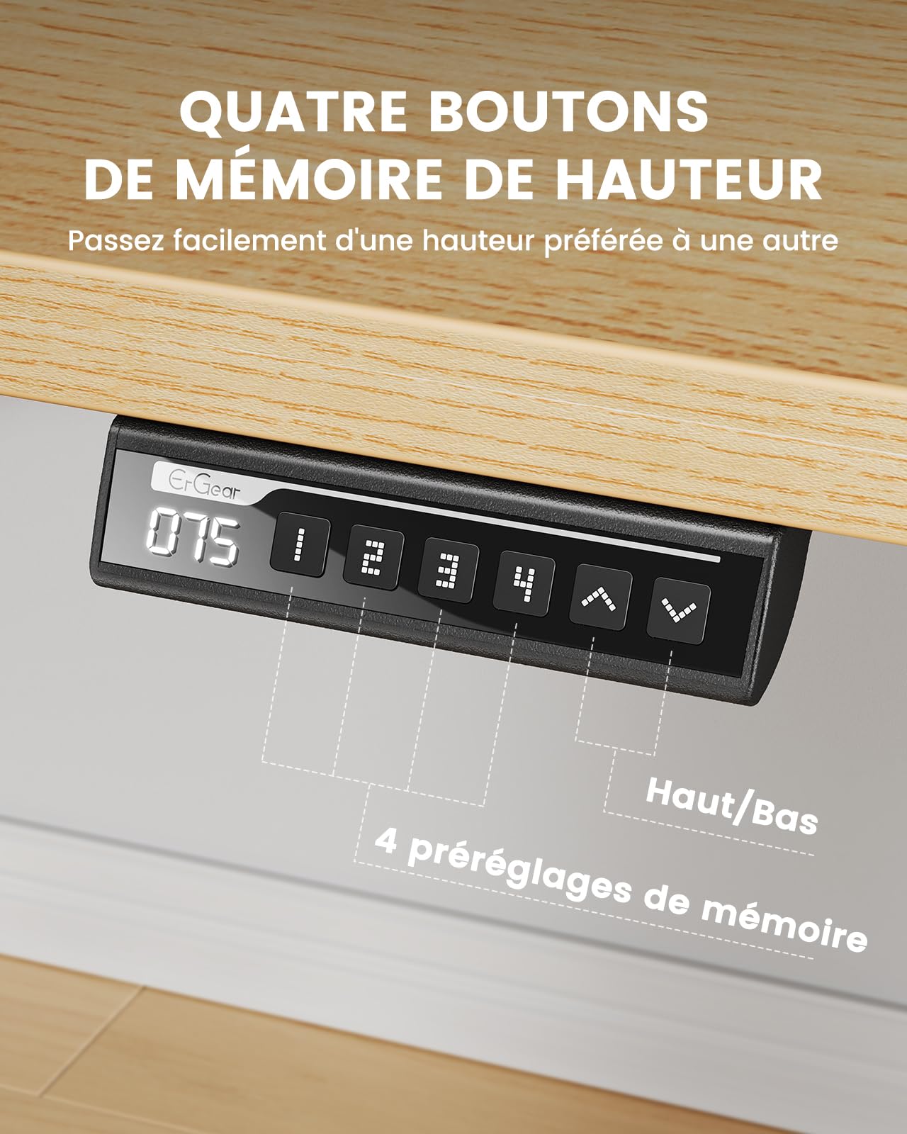 ErGear Bureau Assis Debout avec Moteur Brushless avancé-160 x 80 cm-100 kg de capacité de Charge Bureau Assis Debout Electrique, Fonction silencieuse, Cadre métallique Robuste