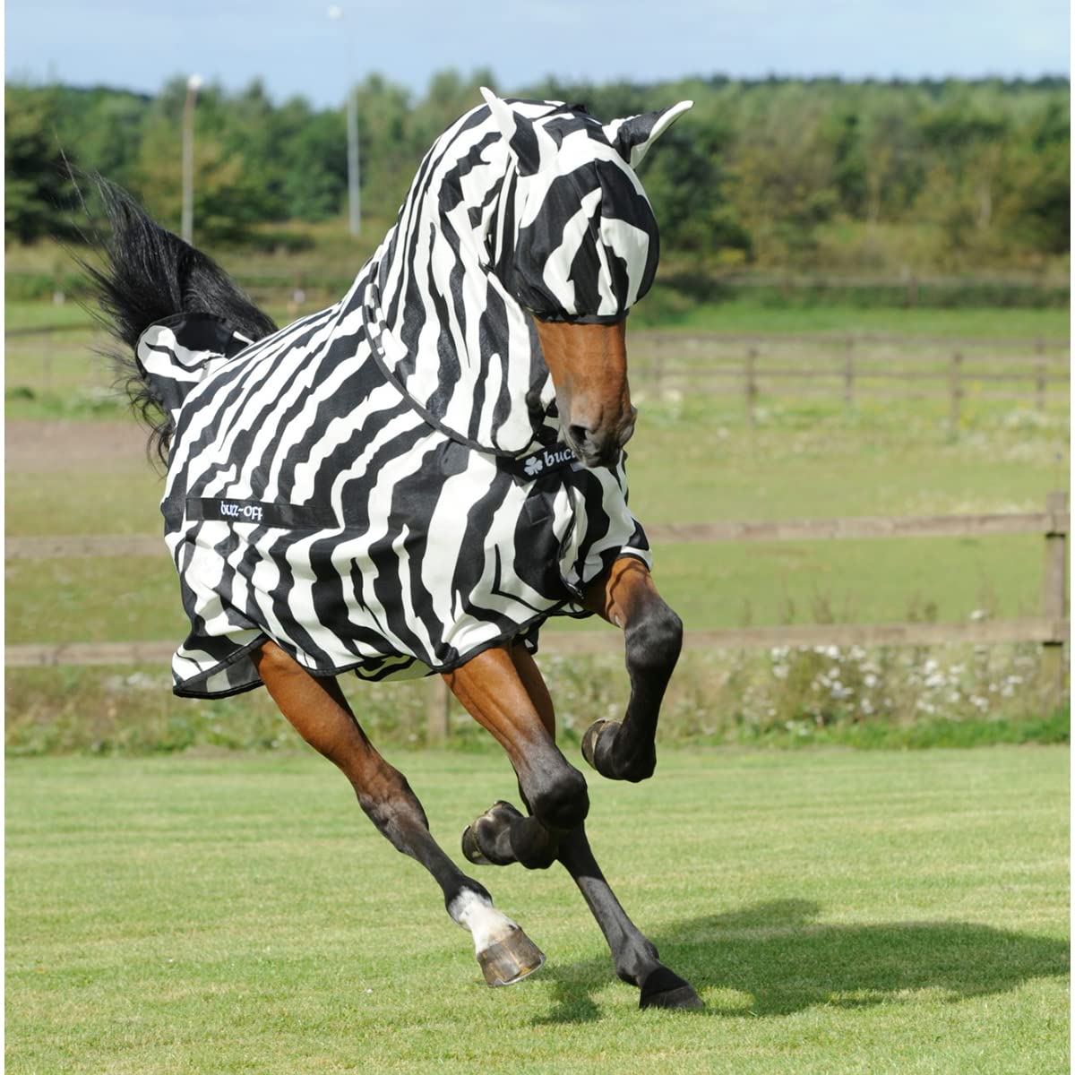 Bucas Buzz-Off Fliegendecke Zebra Full-Neck, 155