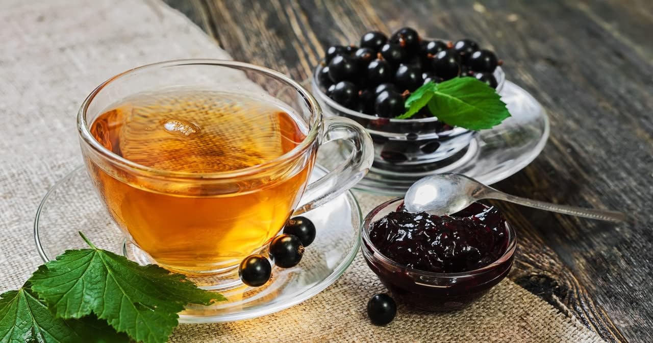 1 Black Currant Plant Live for Planting, Black Currant Bush 1 Year Bare Root, Black Current Berries Ready to Grow