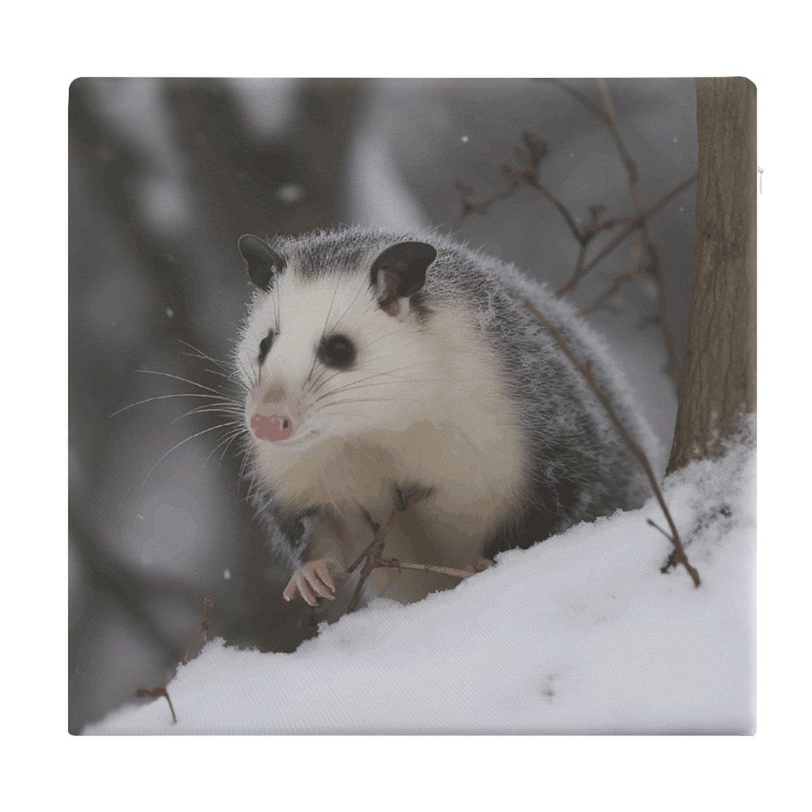 FekiLoot Opossum in Snow Seat Cushion for Dining Chairs Breathable Square Chair Pads Memory Foam Chair Cushions Comfortable Non-Slip Seat Pad Meditation Floor Pillow 13.8”x15”