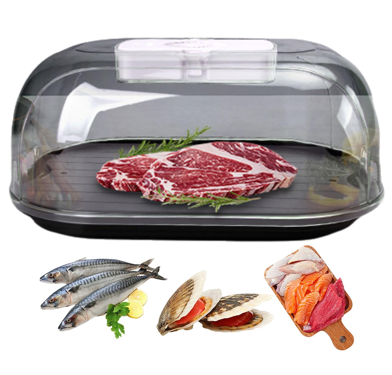 FXNFXLA Electric Food Defrosting Box, Meat Defrosting Tray with Visual Lid, Quick Defrosting Thawing Board, for Frozen Steak, Chicken, Fish, Shrimp&Seafood