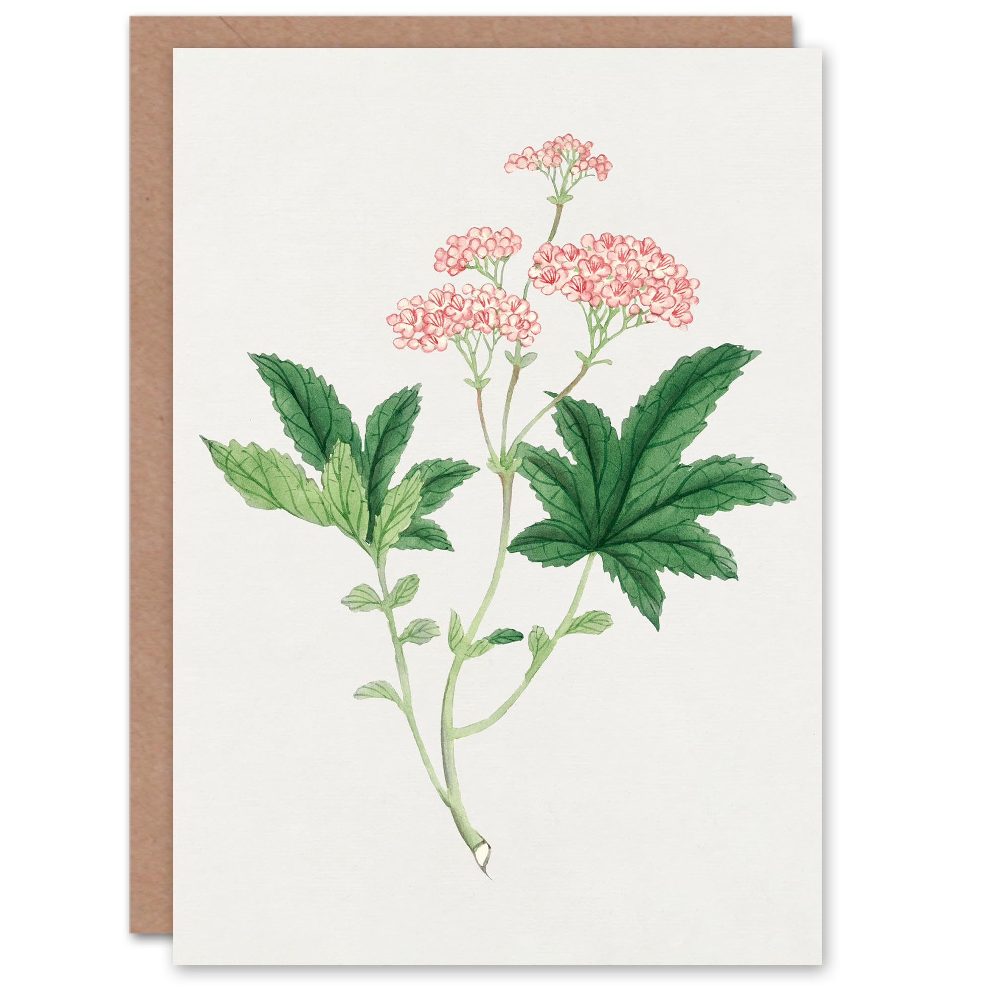 Artery8 Vintage Japanese Botanical Art Card Shimotsuke Flower