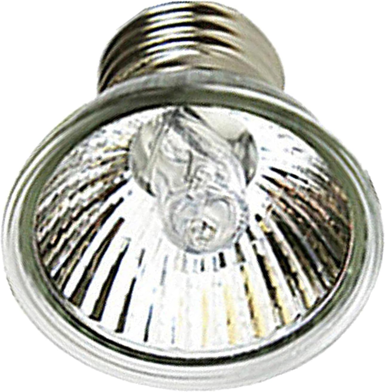Reptile Heating Light Lamp Holder with Clip Lamp Pet Lights 25W Bulbs