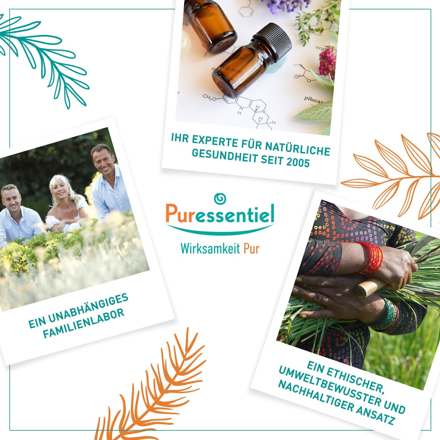 Puressentiel–Anti-Laüse Set-Lotion 100 ml mit Kamm+Shampoo Poudoux 200 ml+Memory-Spiel–Wirkstoff 100 Prozent natürlichen Ursprungs–Spielerisch entfernt Läuse, Larven, Nissen–Wirkt in 10 Minuten