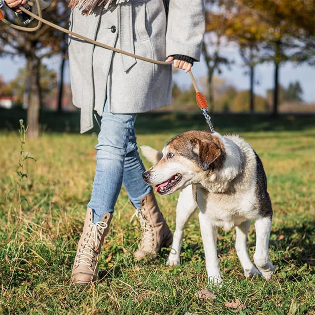 Guinzaglio Per Cani 1.5m - Regolabile, Nylon, Per Cuccioli E Taglia Media, Con Doppia Sicurezza - Foto 6