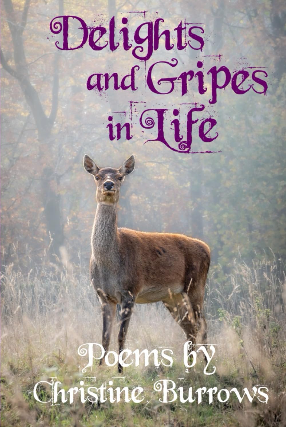 Delights and Gripes in Life